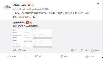 爆料视频出炉,事件真相大起底